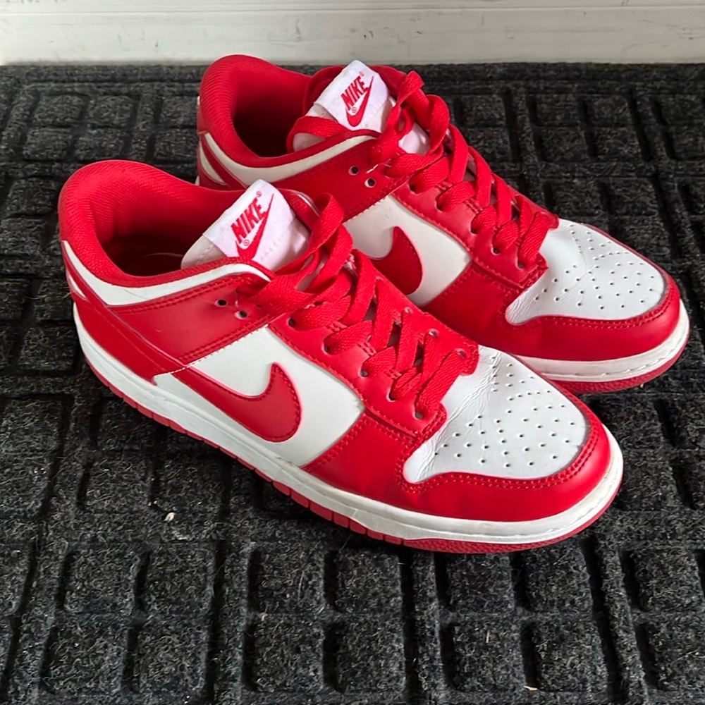 Nike Dunn Sneakers
